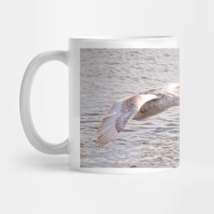 Cygnet in Flight Mug